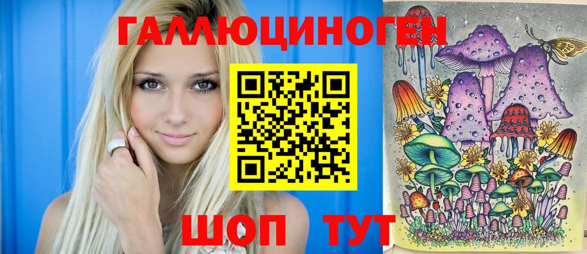 закладка  Владимир  Псилоцибиновые грибы MAGIC MUSHROOMS 