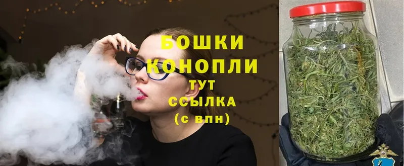 наркотики  Владимир  Канабис Ganja 