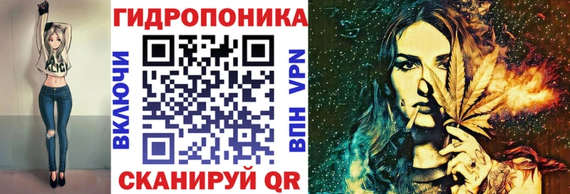 Конопля гибрид  Владимир 
